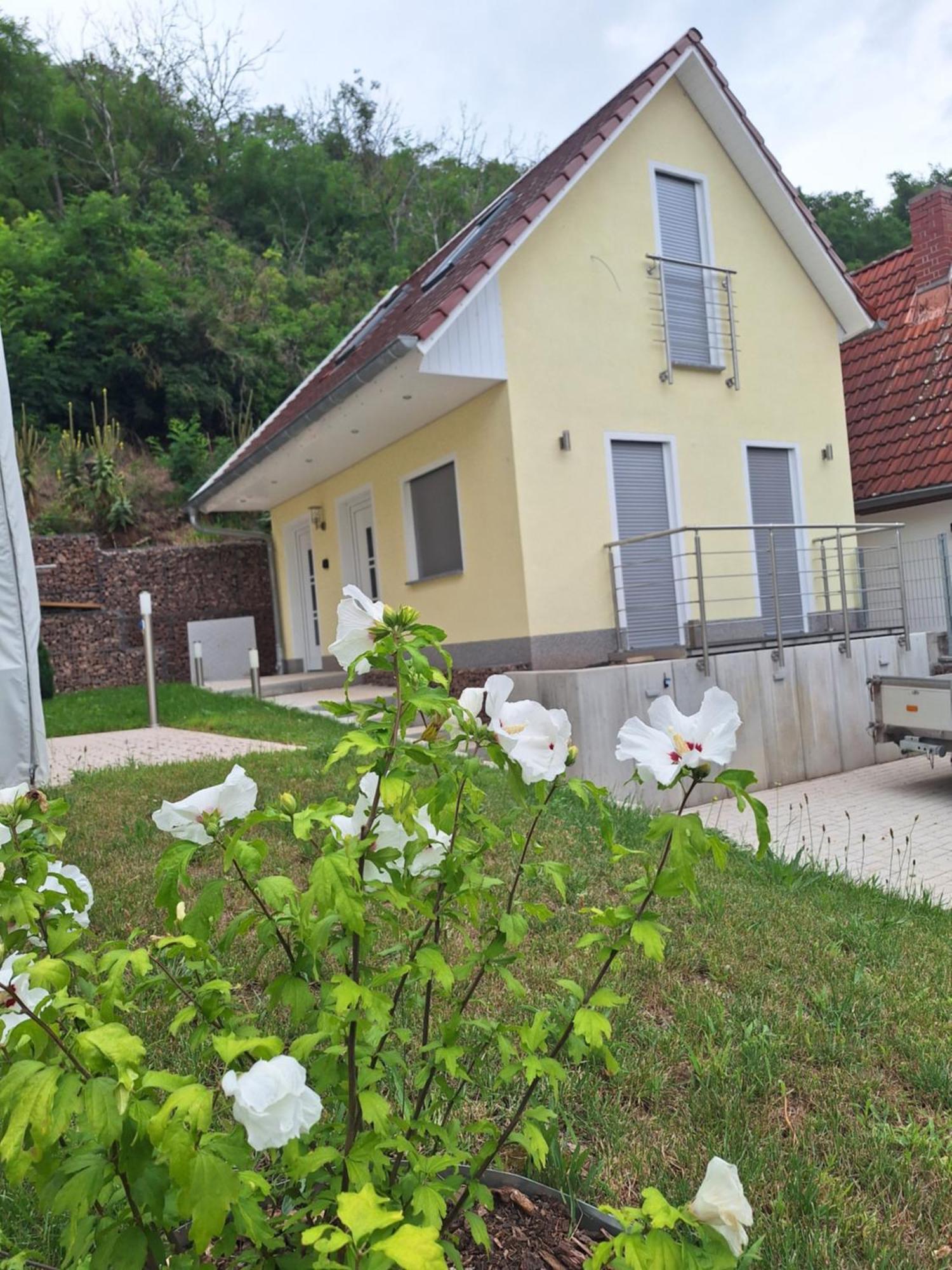 Ferienhaus Saaleblick Wettin Bagian luar foto